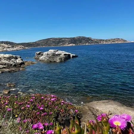 Rez-de-jardin 6 - Acces Direct A La Calvi (Corsica)