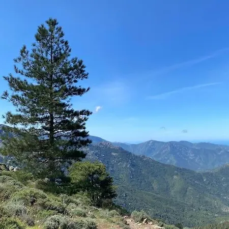 Rez-de-jardin 6 - Accès Direct à La