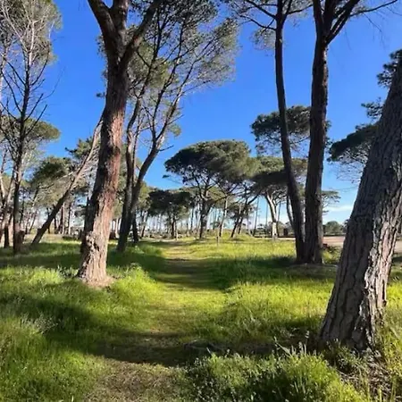 Rez-de-jardin 6 - Acces Direct A La *