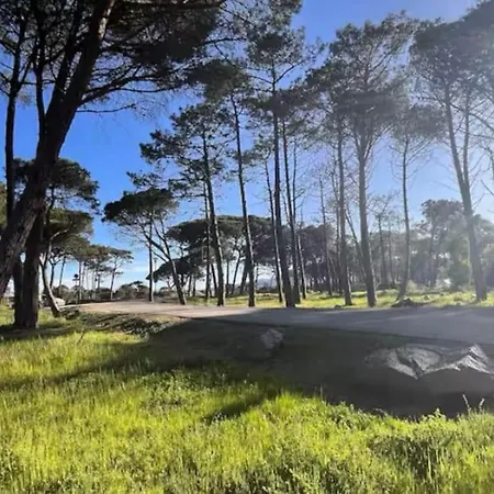 Apartamento Rez-de-jardin 6 - Acces Direct A La *