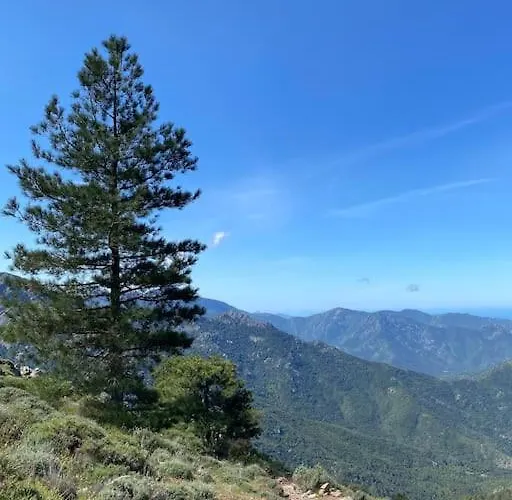 Rez-de-jardin 6 - Acces Direct A La