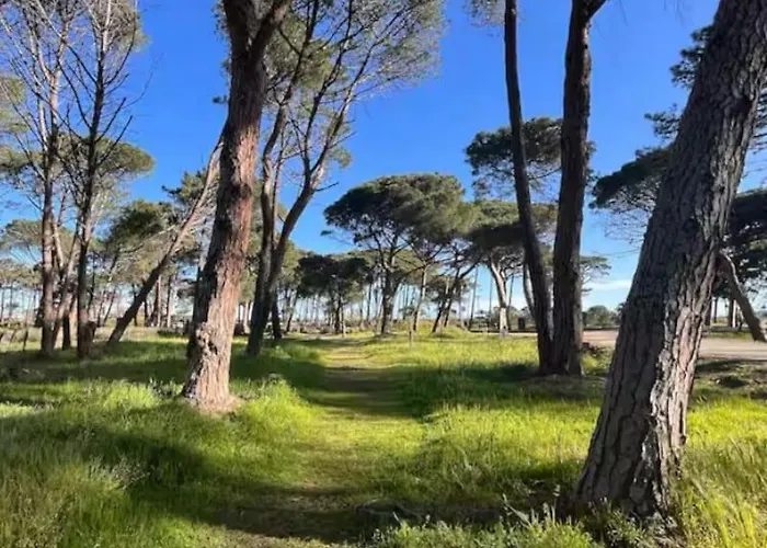 Rez-de-jardin 6 - Accès Direct à La *