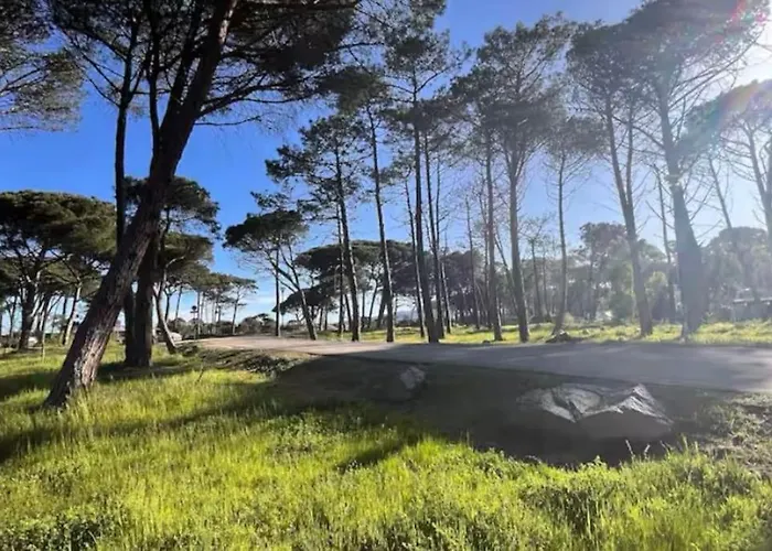 Apartment Rez-de-jardin 6 - Acces Direct A La *