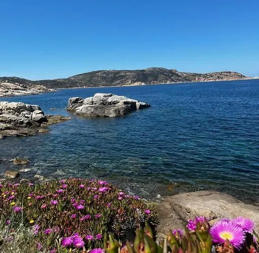 Rez-de-jardin 6 - Acces Direct A La Calvi (Corsica)