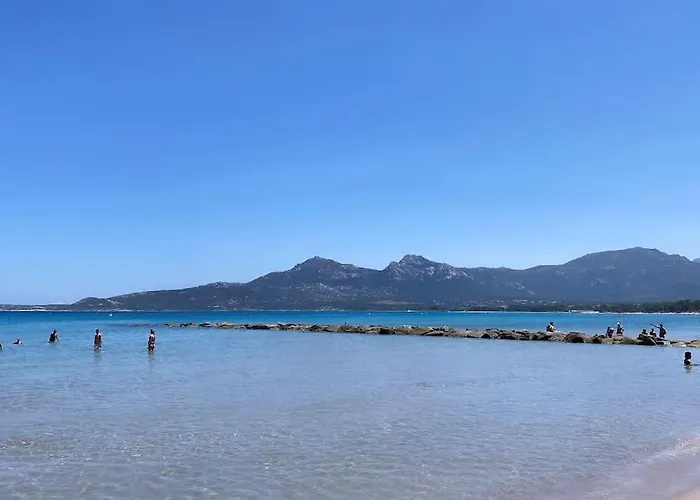 Rez-de-jardin 6 - Acces Direct A La